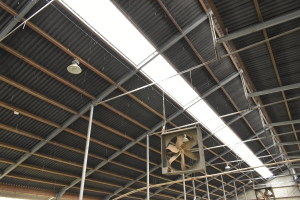 binnenkant dakconstructie van een stal inclusief ventilatie- en beregeningssysteem