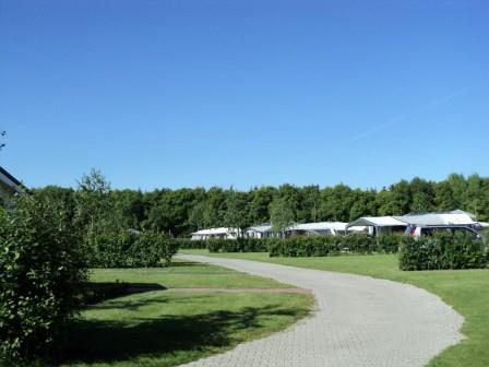 Camping de Moesberg kampeerveld