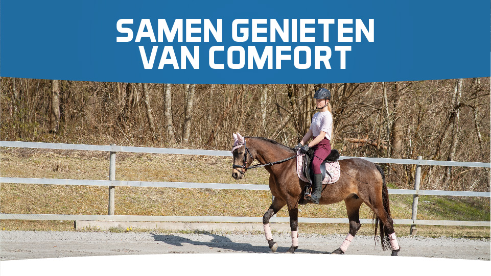 Paarden Rijbak Beregening