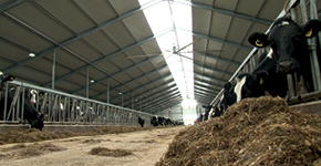 LED Verlichting