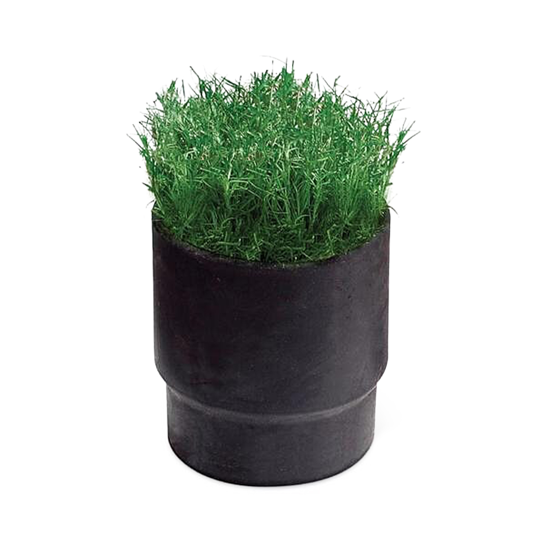 Rainbird 8005 SC Gras houder voor 8005