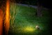 Juno 2 Tuinspot 12 Volt