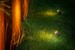 Juno 4 Tuinspot 12 Volt