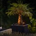 Castor Smart Tuinspot 12 Volt