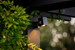 Quartz Wandlamp 12 Volt