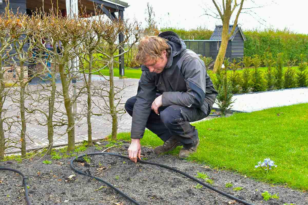 Een drukgecompenseerde druppelslang zorgt voor efficiënte bewatering.