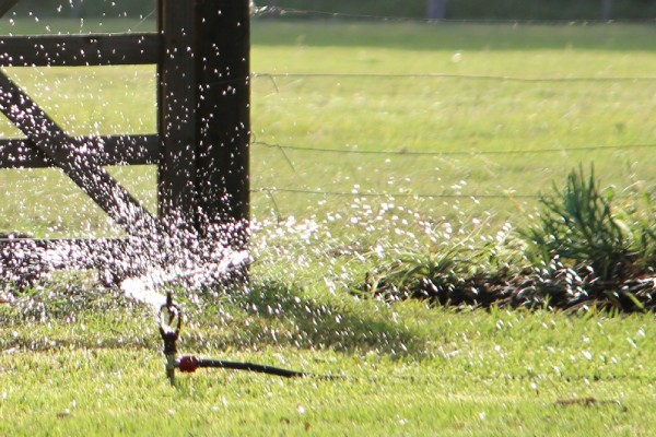 Tuinsproeier die water verspreidop Een grasveld met een hek op de achtergrond.