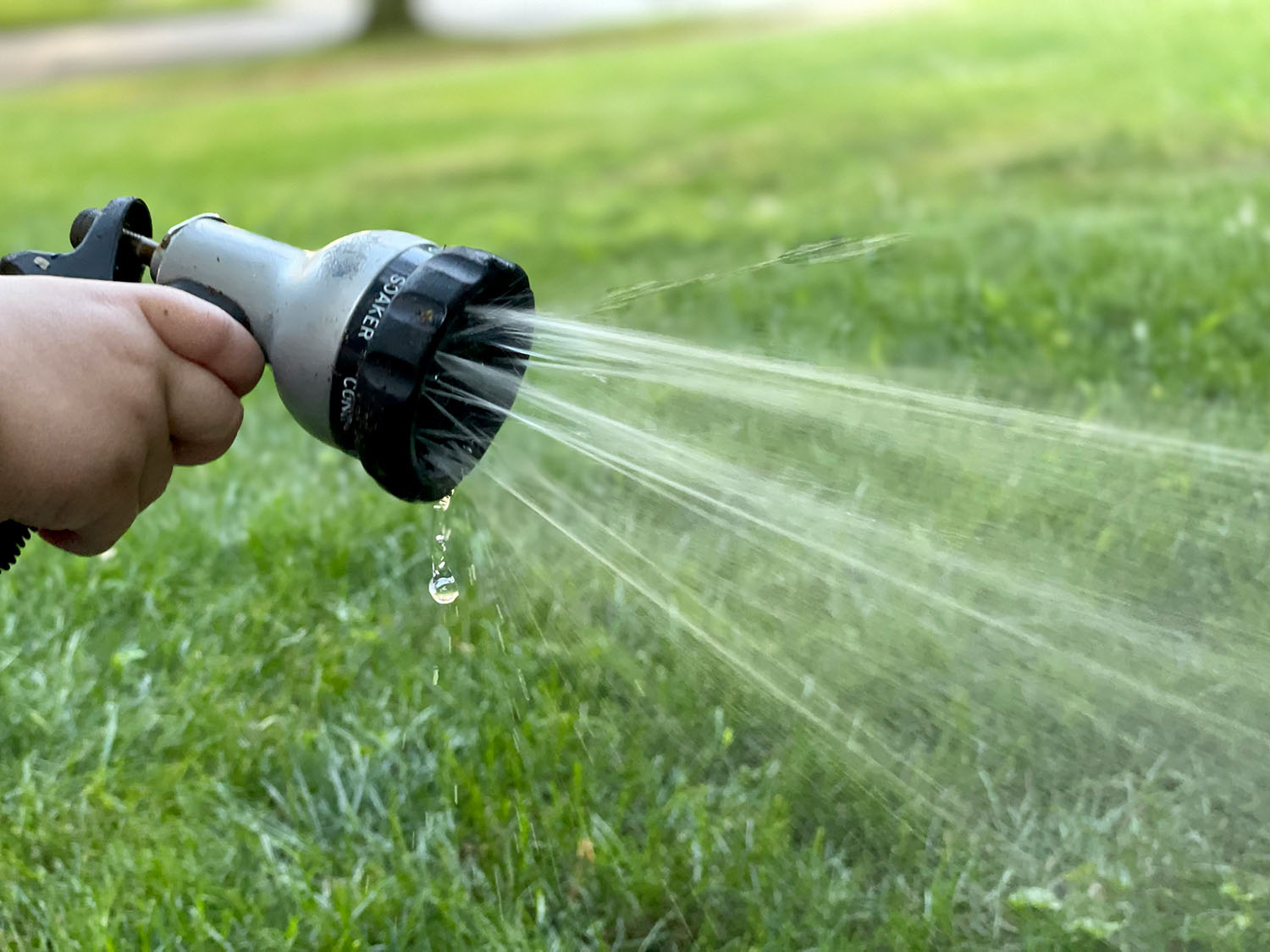 Regenwater hergebruik voor de tuin