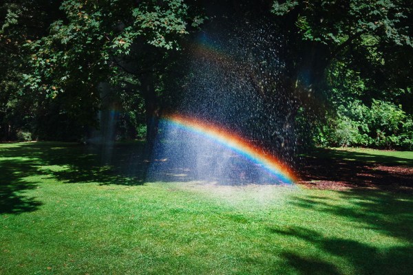 Waterstraal uit een sproeier creëert een regenboogeffect in een groene tuin met bomen.